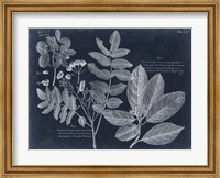 Foliage on Navy V Fine Art Print