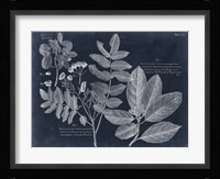 Foliage on Navy V Fine Art Print