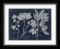 Foliage on Navy VI Fine Art Print