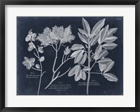 Foliage on Navy VI Framed Print