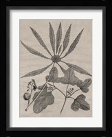 Eloquent Leaves III Fine Art Print