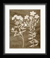 Botanical in Taupe I Fine Art Print