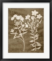 Botanical in Taupe I Framed Print