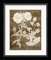 Botanical in Taupe II Fine Art Print