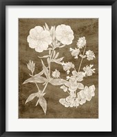 Botanical in Taupe II Framed Print