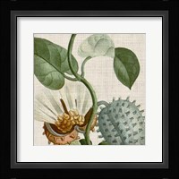 Cropped Turpin Tropicals II Fine Art Print