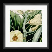 Cropped Turpin Tropicals III Fine Art Print