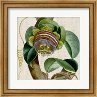 Cropped Turpin Tropicals IV Fine Art Print