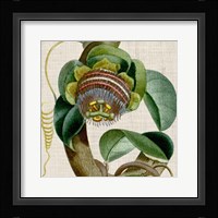 Cropped Turpin Tropicals IV Fine Art Print