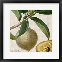 Cropped Turpin Tropicals V Fine Art Print