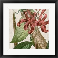 Cropped Turpin Tropicals IX Framed Print