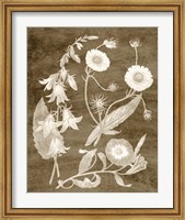 Botanical in Taupe III Fine Art Print