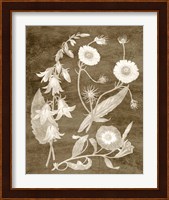 Botanical in Taupe III Fine Art Print