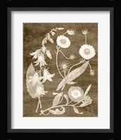 Botanical in Taupe III Fine Art Print