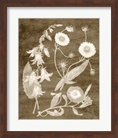 Botanical in Taupe III Fine Art Print