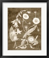 Botanical in Taupe III Framed Print