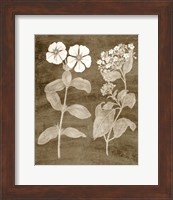 Botanical in Taupe IV Fine Art Print