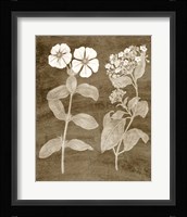 Botanical in Taupe IV Fine Art Print
