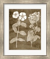 Botanical in Taupe IV Fine Art Print