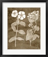 Botanical in Taupe IV Framed Print