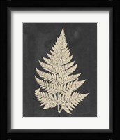 Linen Fern I Fine Art Print