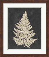 Linen Fern I Fine Art Print