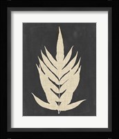 Linen Fern II Fine Art Print