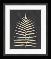 Linen Fern III Fine Art Print