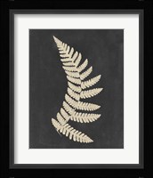 Linen Fern IV Fine Art Print