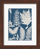 Linen & Blue Ferns II Fine Art Print