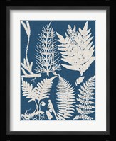 Linen & Blue Ferns II Fine Art Print