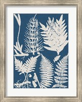 Linen & Blue Ferns II Fine Art Print