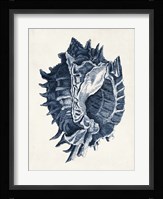 Coastal Collection in Indigo I Fine Art Print