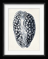 Coastal Collection in Indigo III Fine Art Print