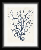 Coastal Collection in Indigo IV Fine Art Print