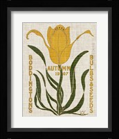 Flower Seed Packs I Framed Print