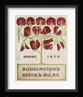 Flower Seed Packs II Framed Print
