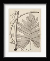 Distinctive Leaves I Fine Art Print