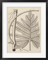 Distinctive Leaves I Framed Print
