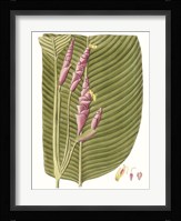 Leaves of the Tropics I Fine Art Print