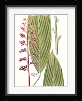 Leaves of the Tropics III Fine Art Print