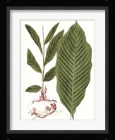Leaves of the Tropics IV Fine Art Print