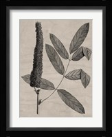 Eloquent Leaves I Fine Art Print