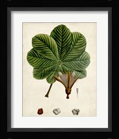 Verdant Foliage II Fine Art Print