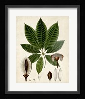 Verdant Foliage VII Fine Art Print