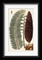 Leaf Varieties IV Fine Art Print