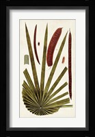 Leaf Varieties VI Fine Art Print