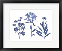 Indigo Pressed Florals II Fine Art Print