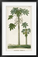Exotic Palms II Fine Art Print