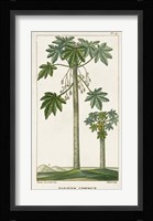 Exotic Palms II Fine Art Print